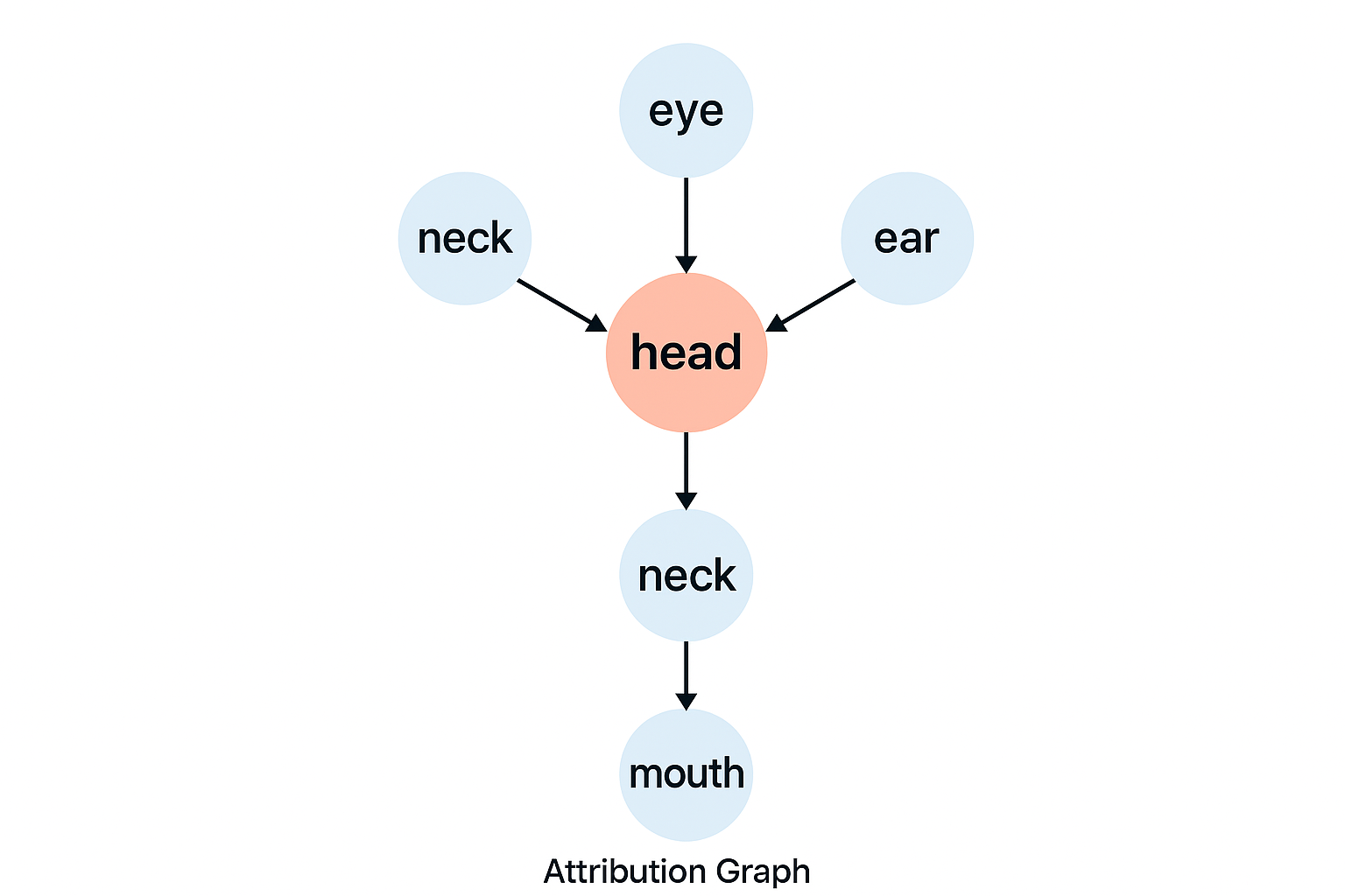 Modular Cortex Diagram